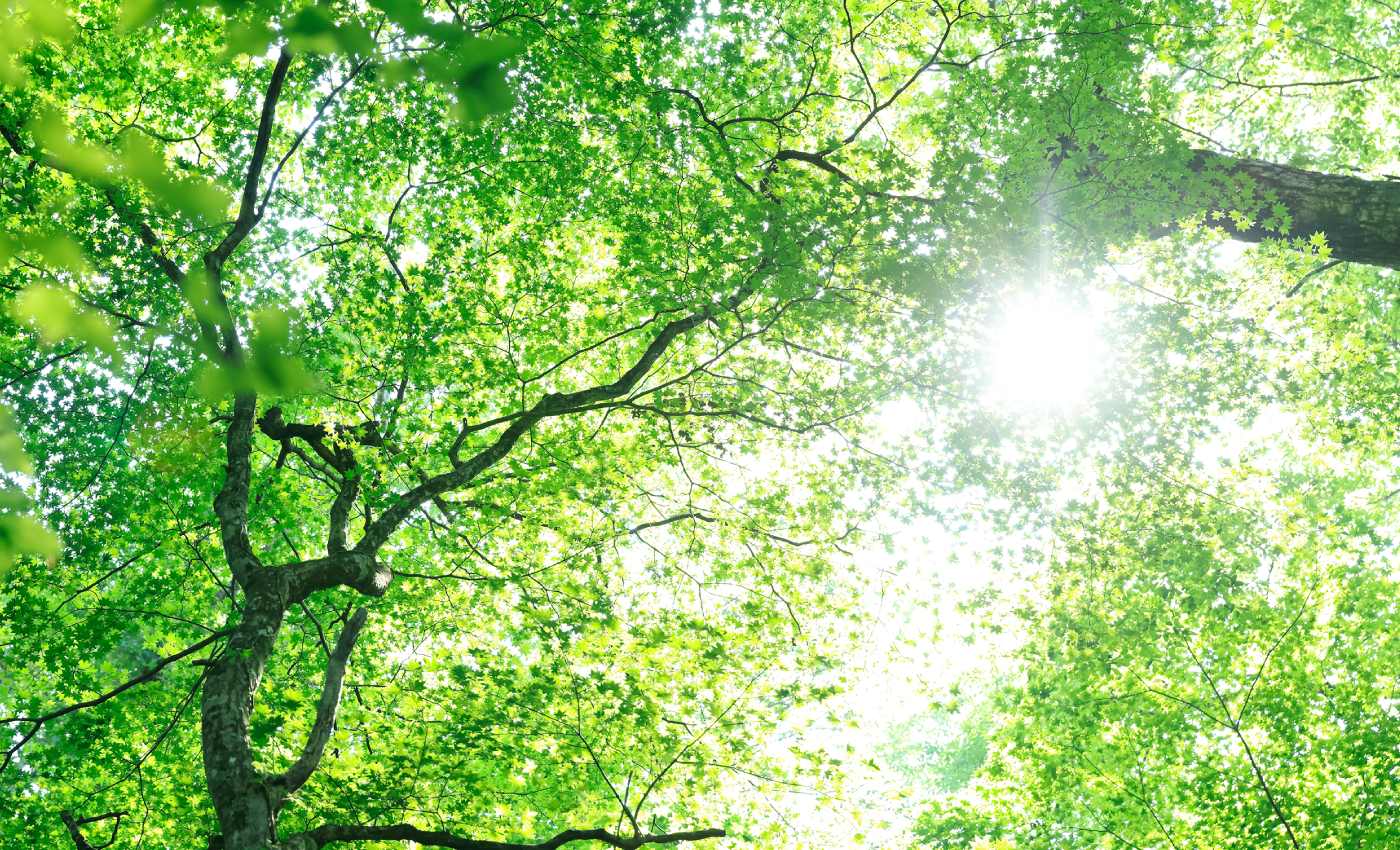 持続可能な社会のためにタイトル画像